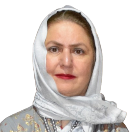 speaker image